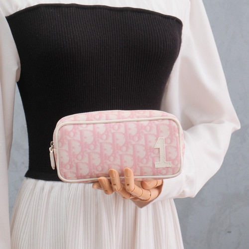 Christian dior trotter pouch - trotter,