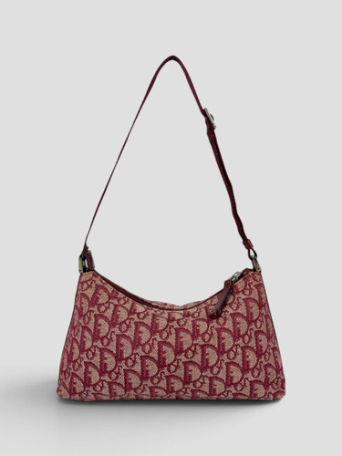 Christian dior trotter canvas - dior,